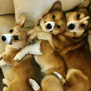 BUNDLE FOR DISCOUNTS